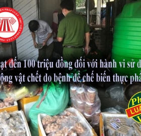 Phạt đến 100 triệu đồng đối với hành vi sử dụng động vật chết do bệnh để chế biến thực phẩm