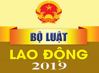 Bộ luật lao động 2019 & Các Nghị định liên quan...