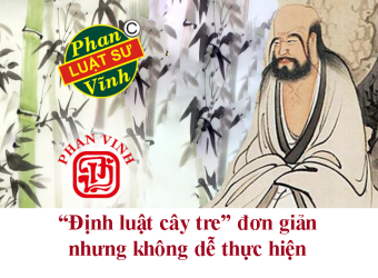 Tại sao "Định luật cây tre" đơn giản nhưng 90% người không làm được?