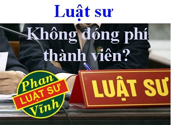 Luật sư không đóng phí thành viên sẽ bị xử lý như thế nào theo Điều lệ Liên đoàn Luật sư Việt Nam?