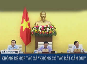 Phát triển hợp tác xã, tránh tình trạng "không một tấc đất cắm dùi"