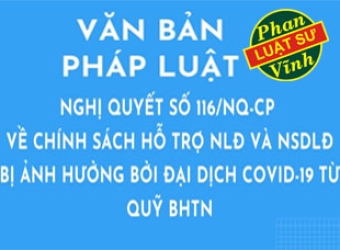 Nghị quyết 116/NQ-CP VỀ CHÍNH SÁCH HỖ TRỢ NGƯỜI LAO ĐỘNG VÀ NGƯỜI SỬ DỤNG LAO ĐỘNG BỊ ẢNH HƯỞNG BỞI ĐẠI DỊCH COVID-19 TỪ QUỸ BẢO HIỂM THẤT NGHIỆP