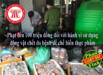 Phạt đến 100 triệu đồng đối với hành vi sử dụng động vật chết do bệnh để chế biến thực phẩm