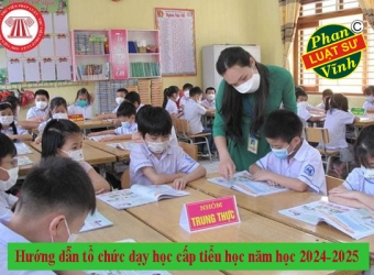 Hướng dẫn tổ chức dạy học cấp tiểu học năm học 2024-2025