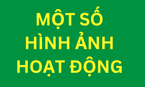 Hình ảnh hoạt động
